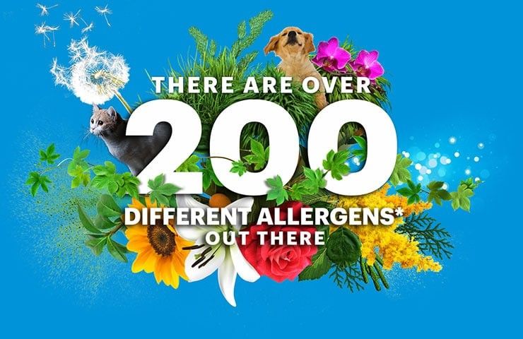 image-200-allergens a flower bouqet with, "there are over 200 different allergens out there," superimposed on top